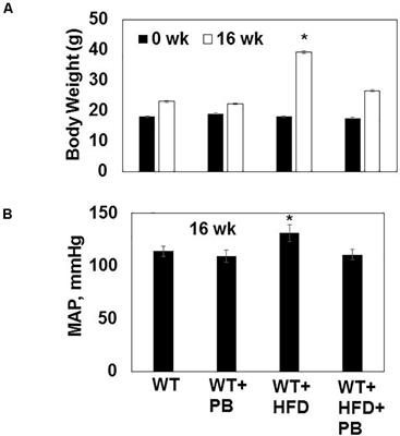 Epigenetics, 1-Carbon Metabolism, and Homocysteine During Dysbiosis